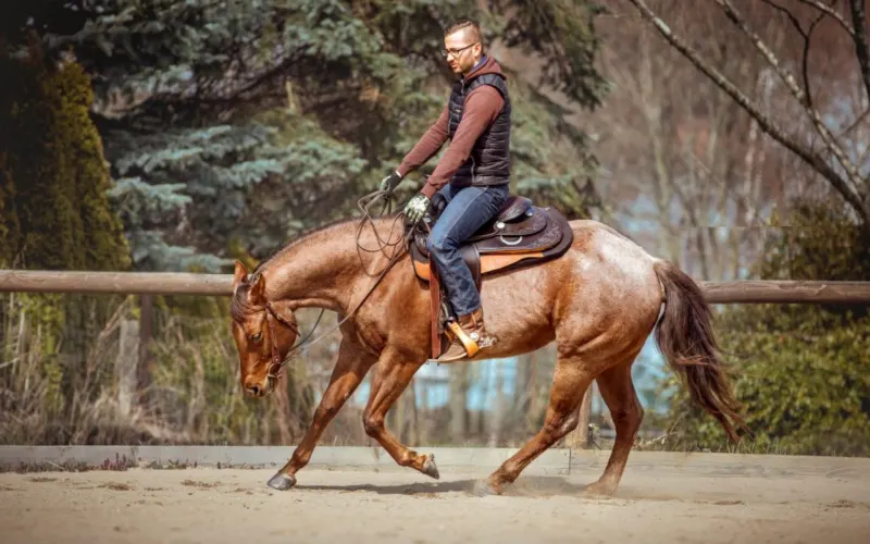 Alfred Teuchert beim Westernreiten