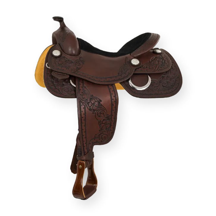 DP Equitation Trainer