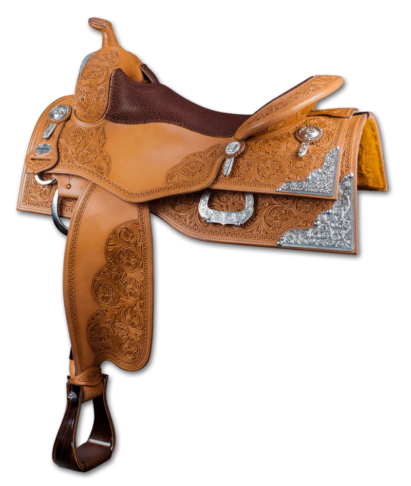 AM Saddleworld Pro - M1Poindet Show Reiner