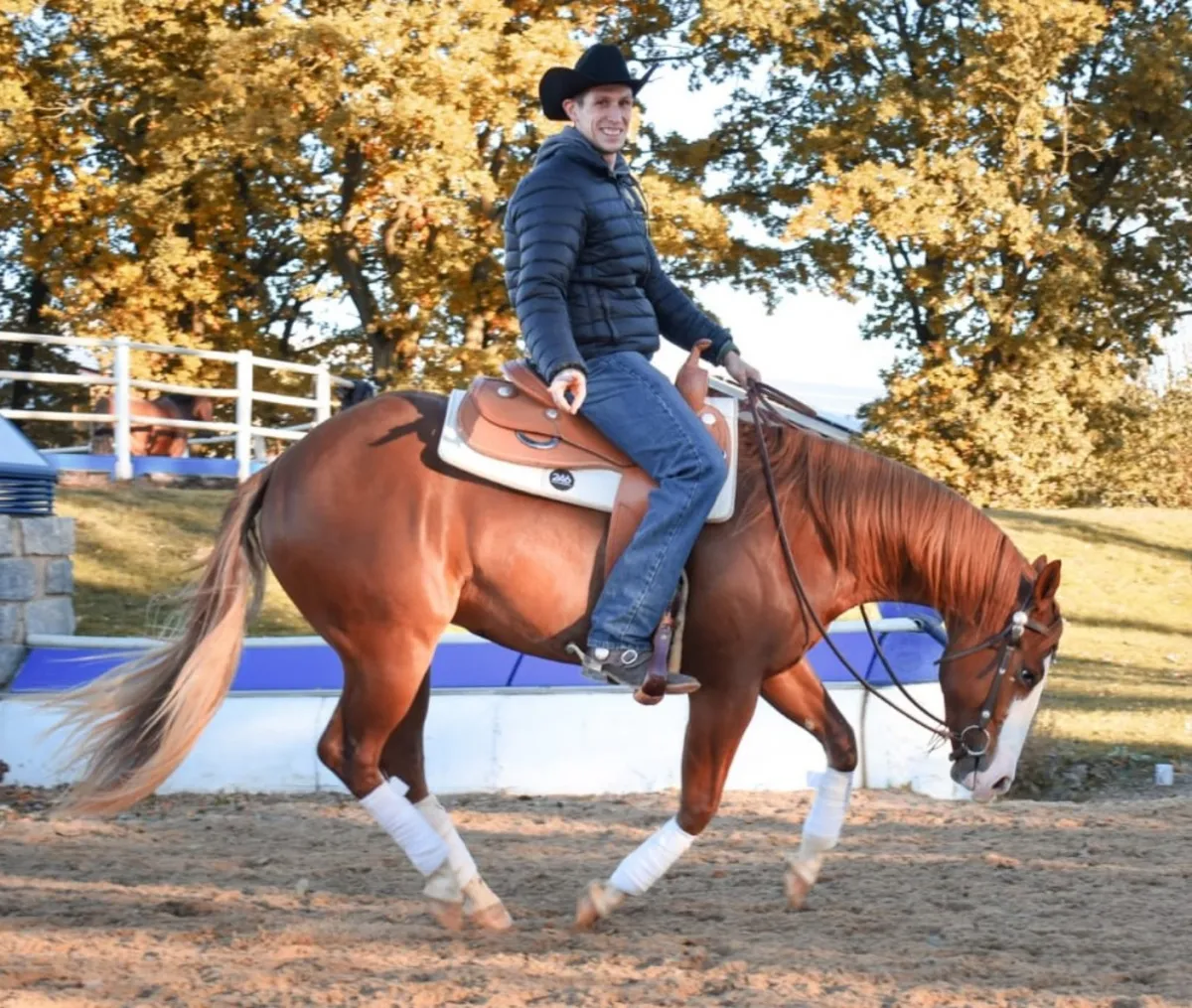 Porträt von Michael Jahncke, Westernreittrainer im SaddleWorld-Trainerprogramm
