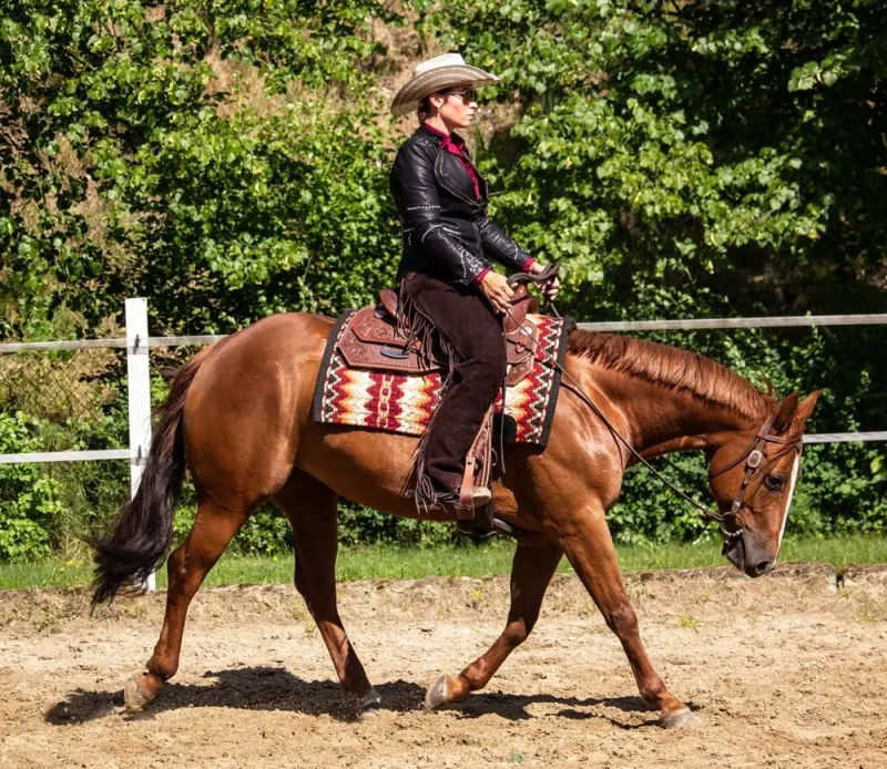 Sandra Breitenstein — Trainer im SaddleWorld-Trainerprogramm